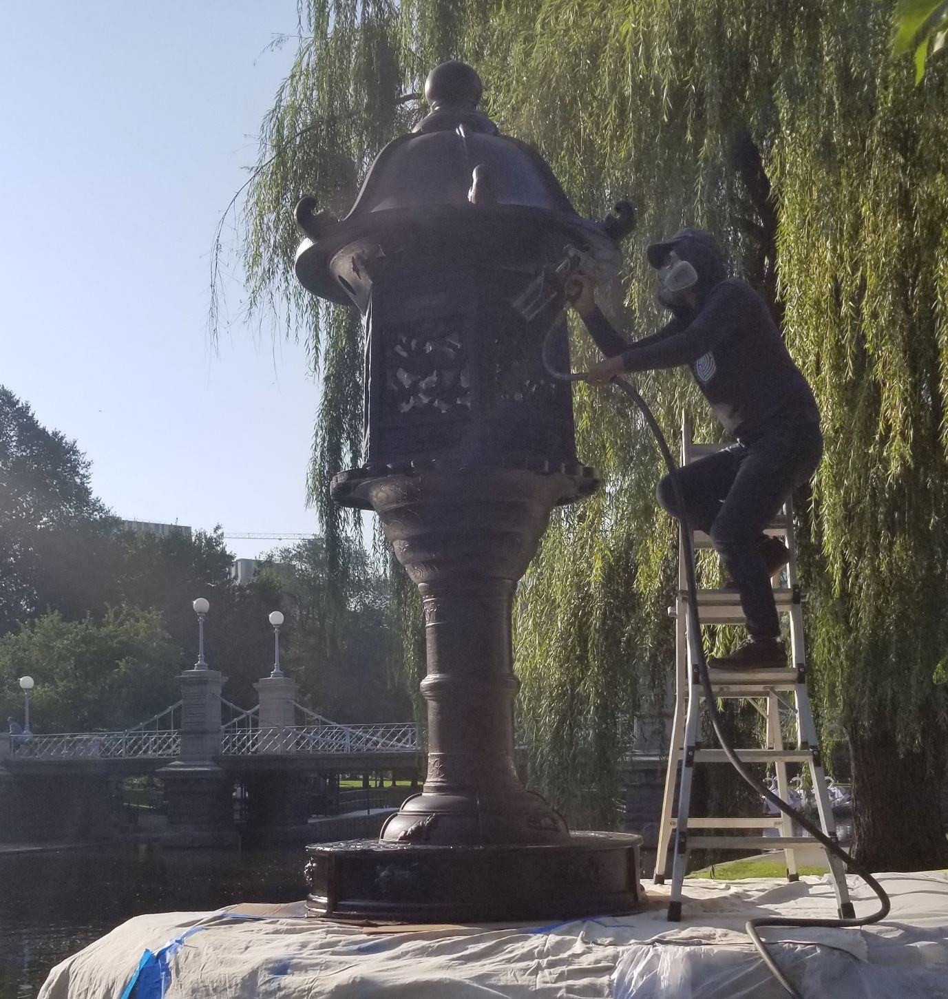 Daedalus Conservation