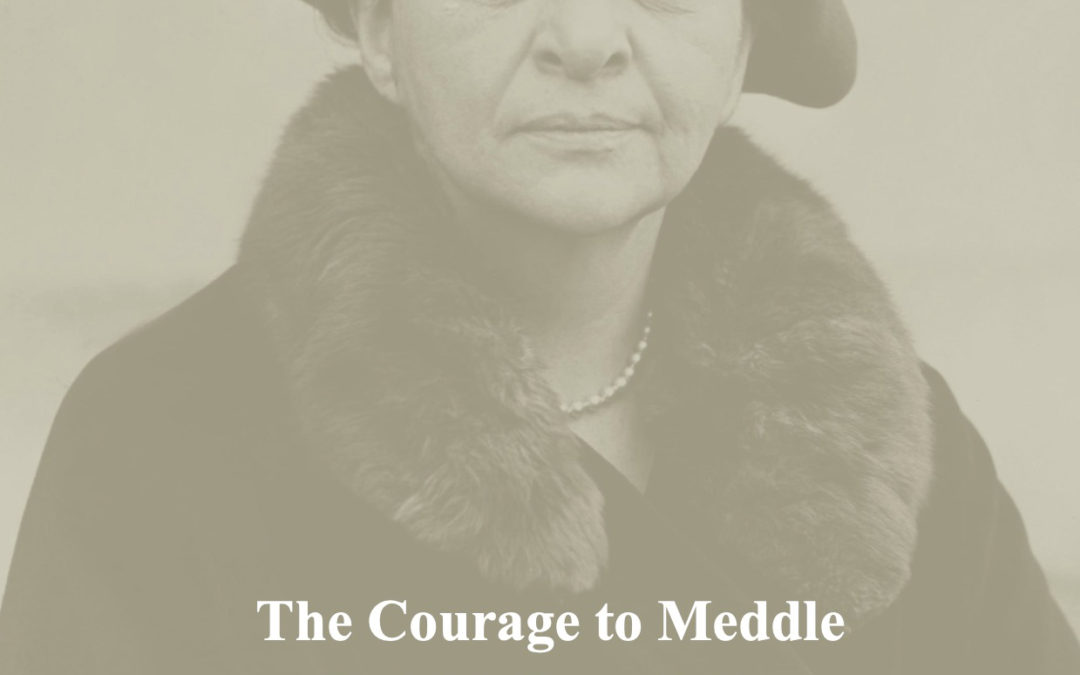 Tom Levitt—The Courage to Meddle: The Belief of Frances Perkins