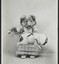 Westborough Center Pastimes – March 19, 2021