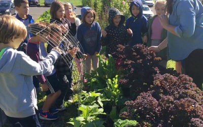 $6.3M in Operating Support Awarded to 345 Cultural Nonprofits