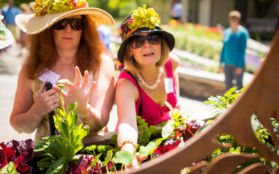 UP Initiative: Approaching Intersectional Access