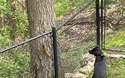 Westborough Center Pastimes – October 15, 2021