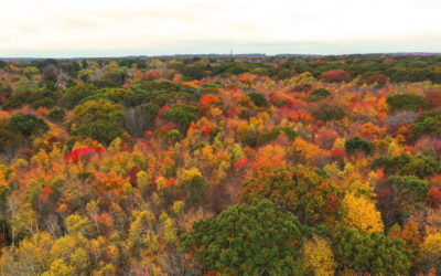 Land Acknowledgement: An Indigenous Woman’s Observance