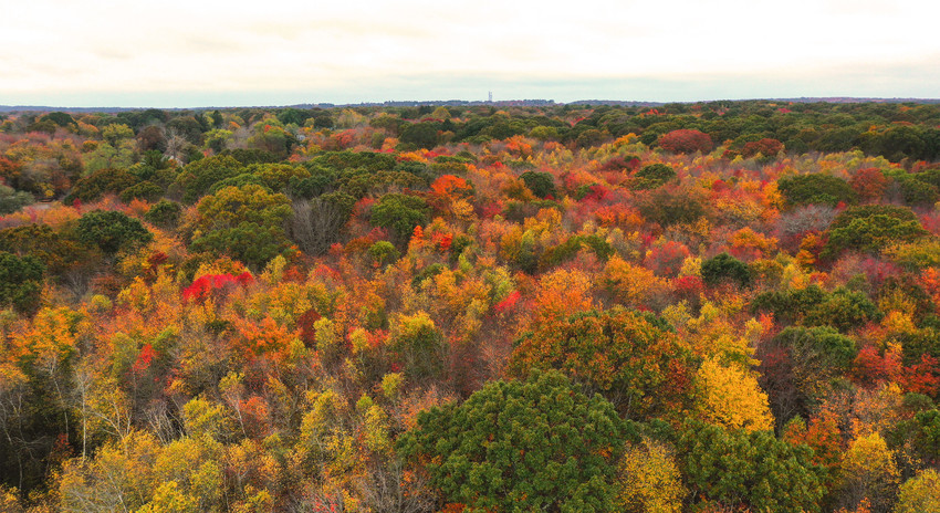 Land Acknowledgement: An Indigenous Woman’s Observance