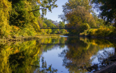 Frederick Law Olmsted in Buffalo