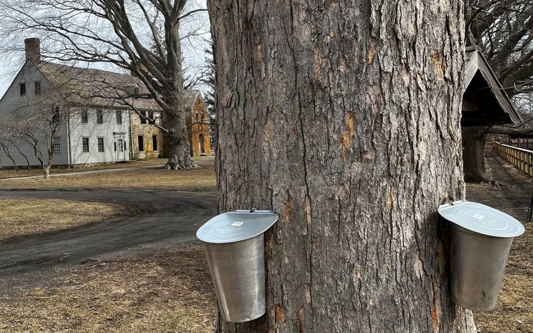 Maple Sugaring at Spencer-Peirce-Little Farm