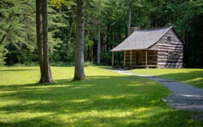 Survey Results from the History in Our Parks Task Force