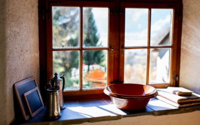 Small Museums and the Annual Conferences’ Power of Place