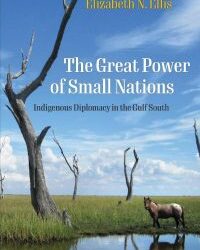 Episode 342: Elizabeth Ellis, The Great Power of Small Native Nations