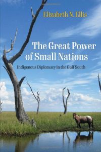 Episode 342: Elizabeth Ellis, The Great Power of Small Native Nations