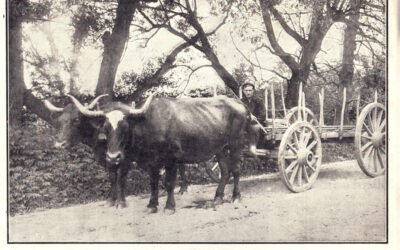 The Smithsonian Comes to Rutland  