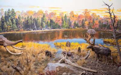 Westborough Center Pastimes – January 20, 2023