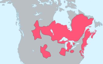 Westborough Center Pastimes – March 17, 2023