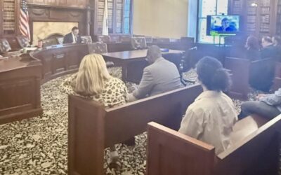 Testifying to Broaden Cultural Facilities Fund’s Eligibility