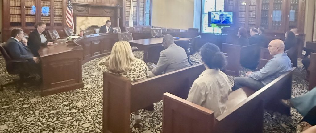 Testifying to Broaden Cultural Facilities Fund’s Eligibility