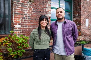 Arts & Business Insights: Likemind Design